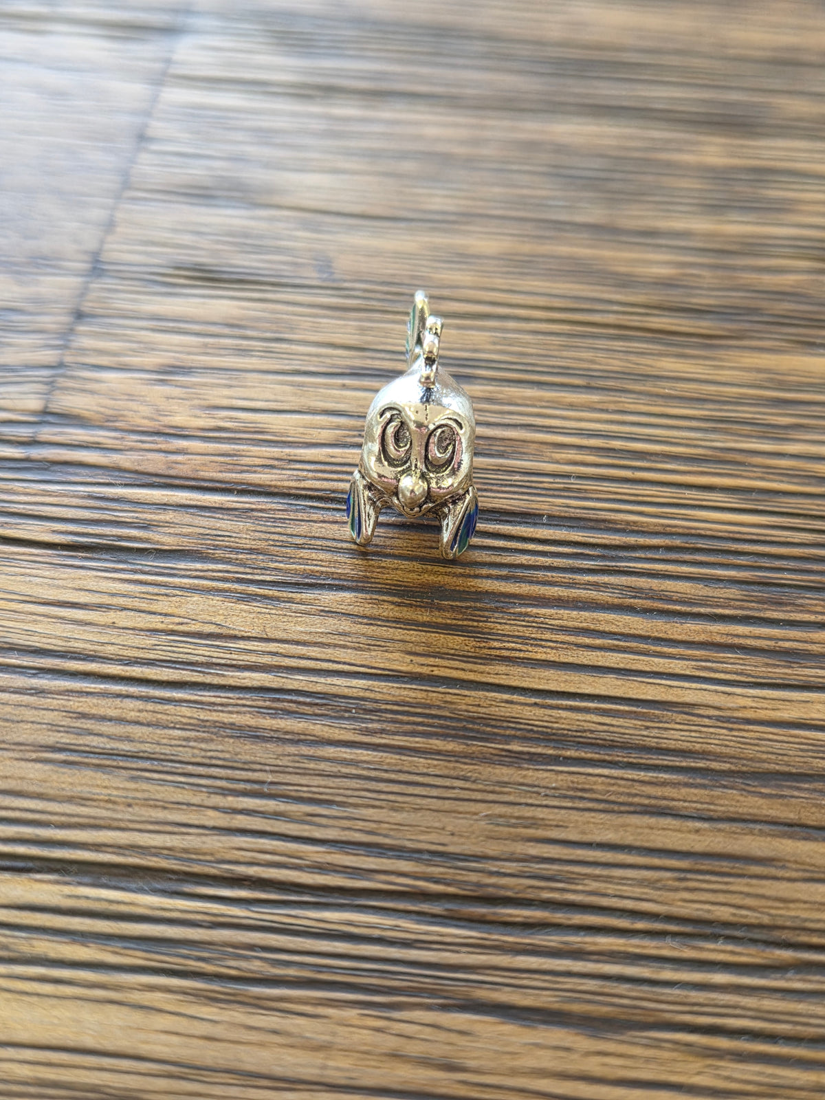 Fish charm