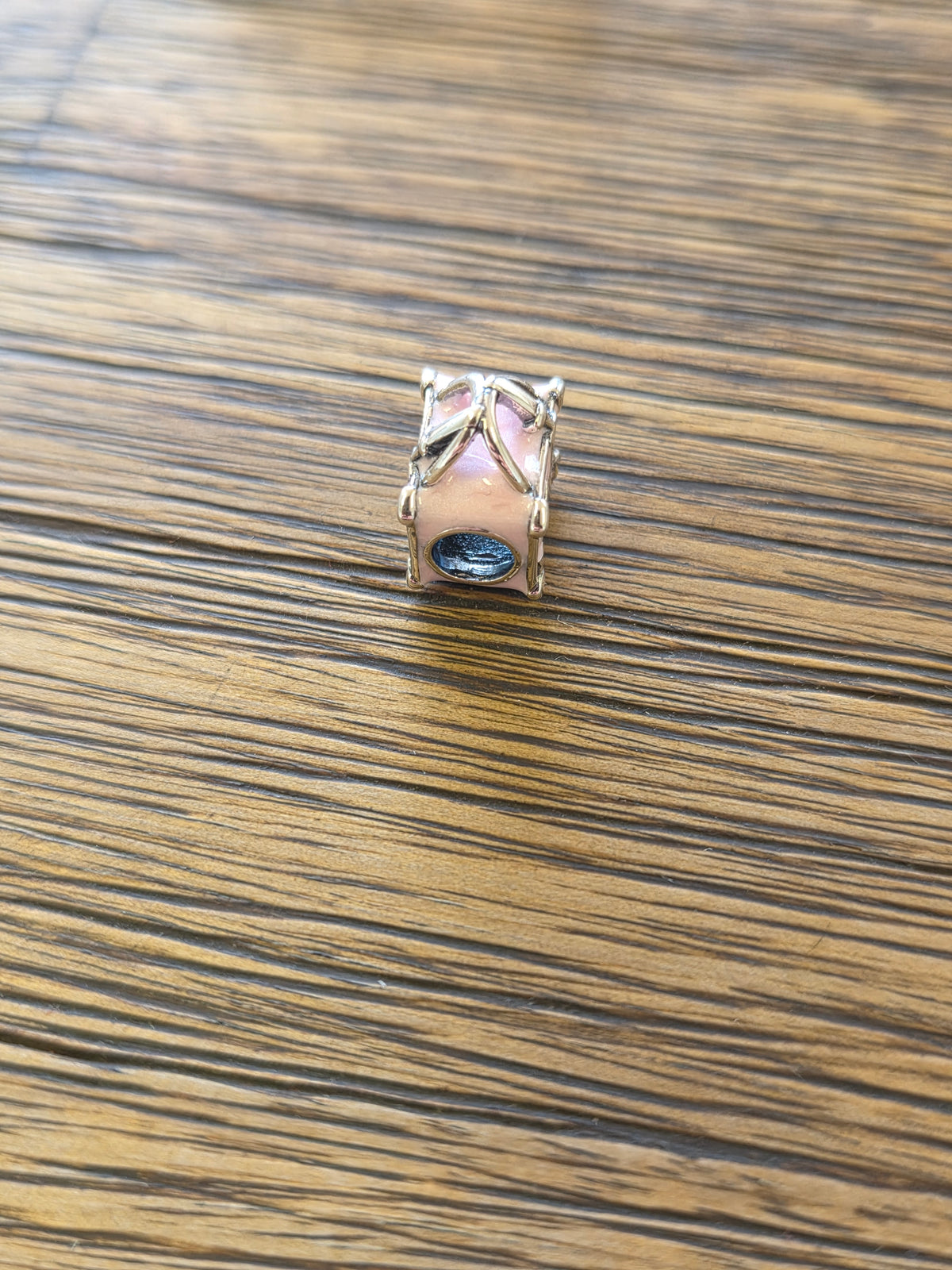 Travel bag charm