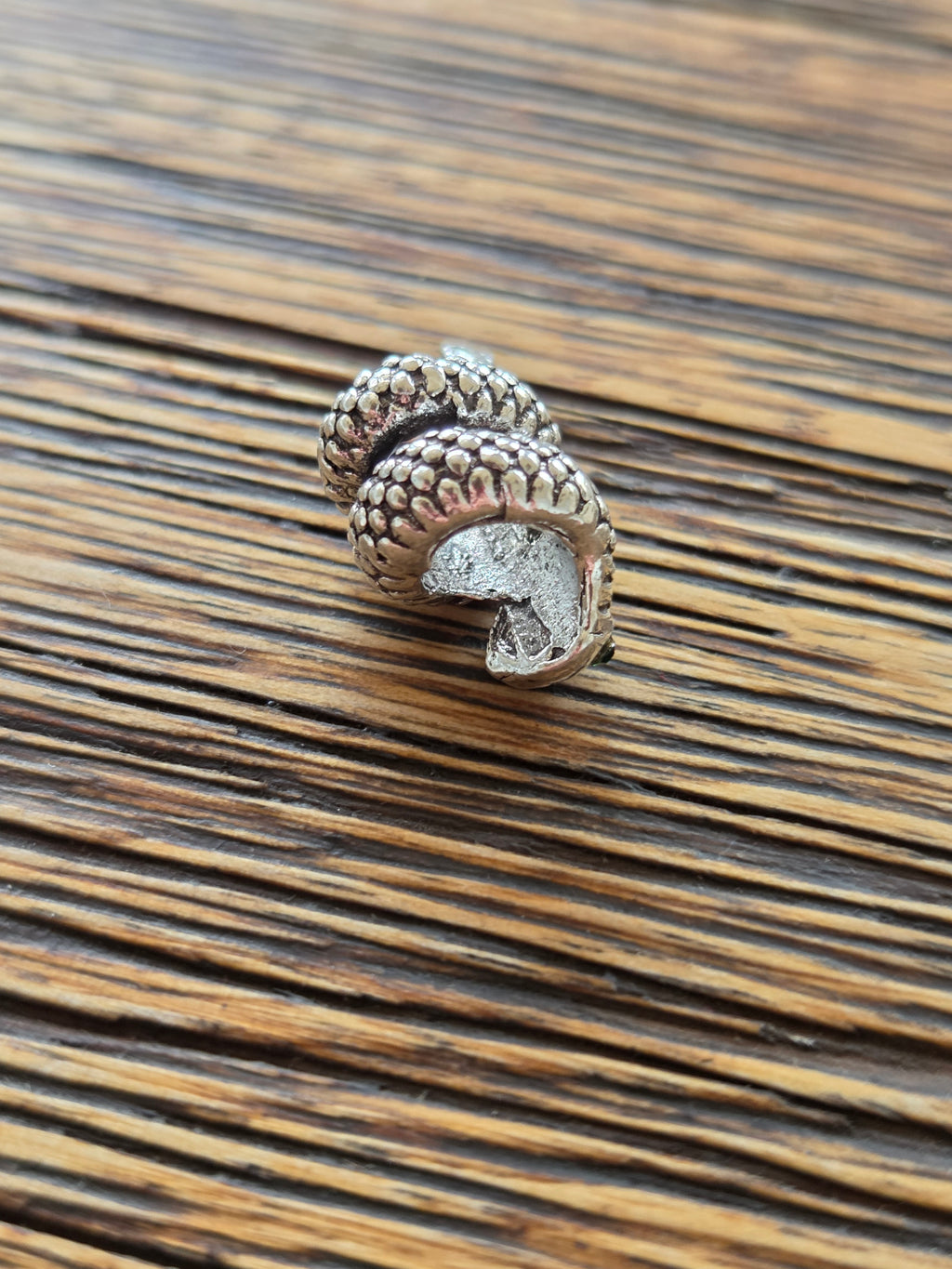 Snake charm