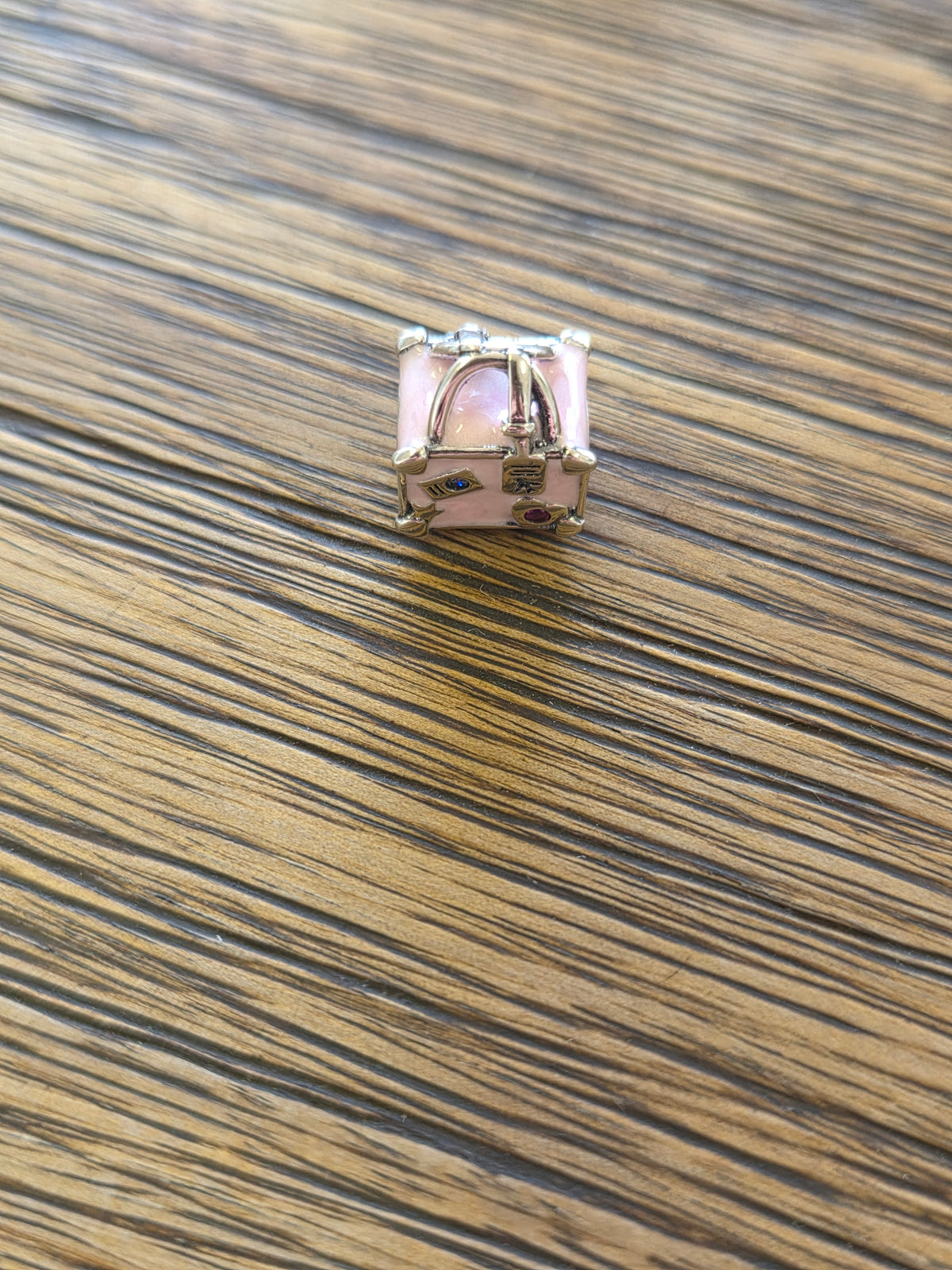 Travel bag charm